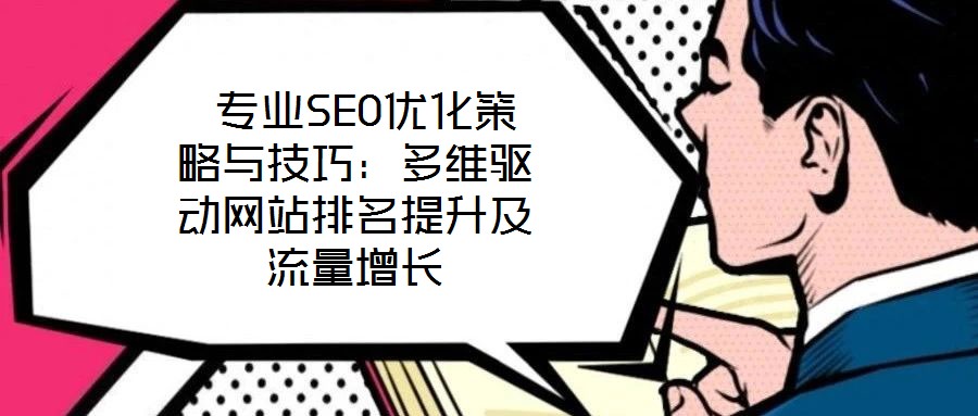 專業(yè)SEO優(yōu)化策略與技巧:多維驅(qū)動網(wǎng)站排名提升及流量增長