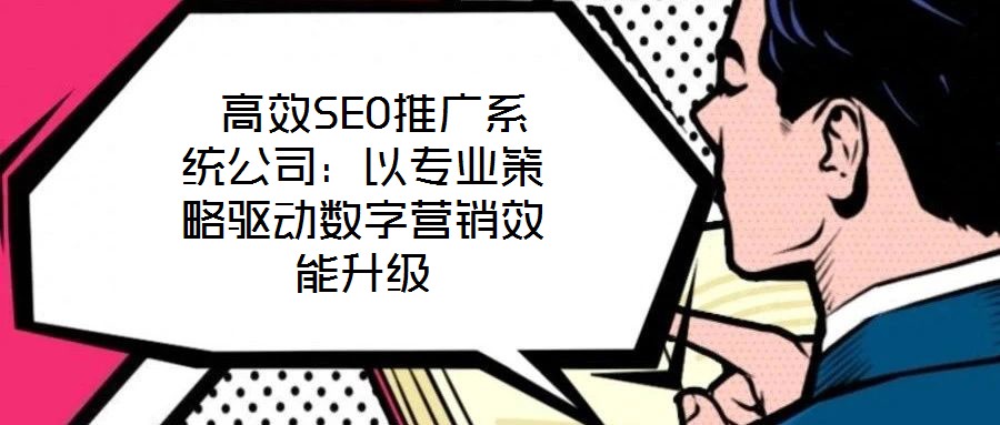 高效SEO推廣系統(tǒng)公司:以專業(yè)策略驅(qū)動(dòng)數(shù)字營銷效能升級